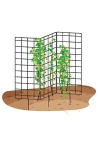 Шпалера 3D для растений